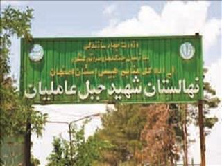 احیای نهالستان جبل‌عاملیان فلاورجان با حمایت فولاد مبارکه؛ گامی بلند در طرح ملی کاشت یک میلیارد درخت