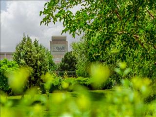 فولاد مبارکه، الگویی موفق در تعادل صنعت و طبیعت با جذب هزاران پرنده مهاجر