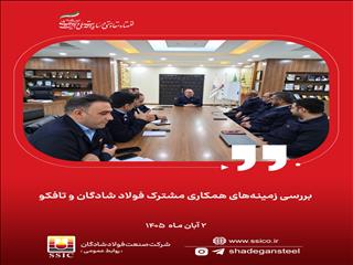 فولاد شادگان و تافکو به‌دنبال همکاری در ساخت داخل و اقتصاد چرخشی
